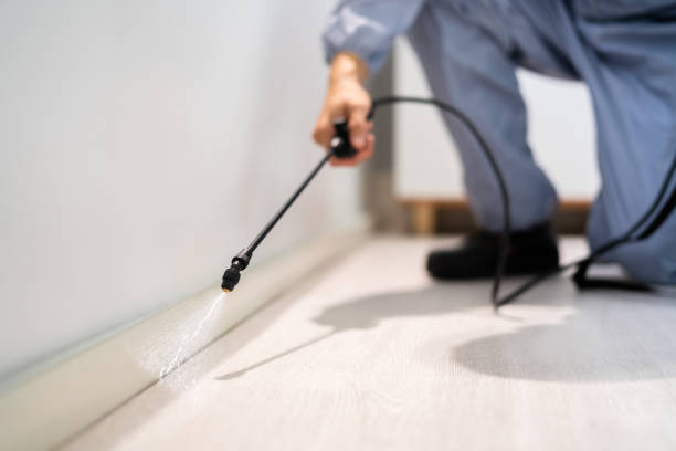 Licensed Cockroach Control service in Midland, NC - Nex Pest Control