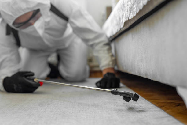 Professional Cockroach Control technician working in Midland, NC