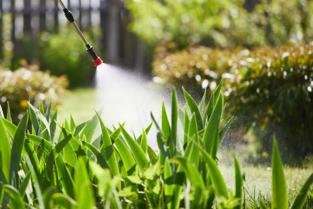 24/7 Emergency Cockroach Control experts in Midland, NC